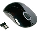 Targus Wireless Comfort Laser Mouse